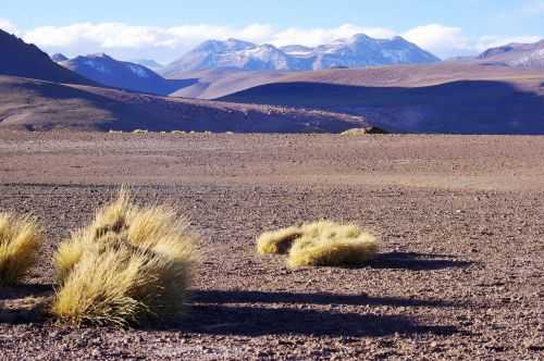 TREKKING NEL DESERTO DI ATACAMA 2015